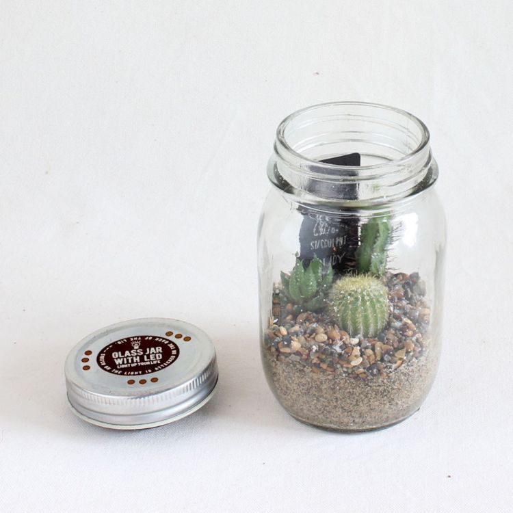 SPICE ���ѥ��� GLASS JAR WITH LED SABOTEN S SIZE 8S06 8�� | �����ǥ� ��ʪ ���ܥƥ� ¿��