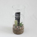 SPICE スパイス LABO GLASS SABOTEN 8S11 8個 | ガーデン 植物 サボテン 多肉