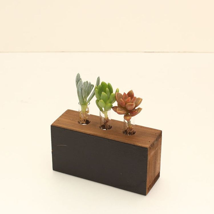 SPICE ���ѥ��� �֥�å��ܡ��ɥ١��� ��̥��ܥƥ� 8S16 12�� | �����ǥ� ��ʪ ���ܥƥ� ¿�� ����� �ե��١��� ��̺���