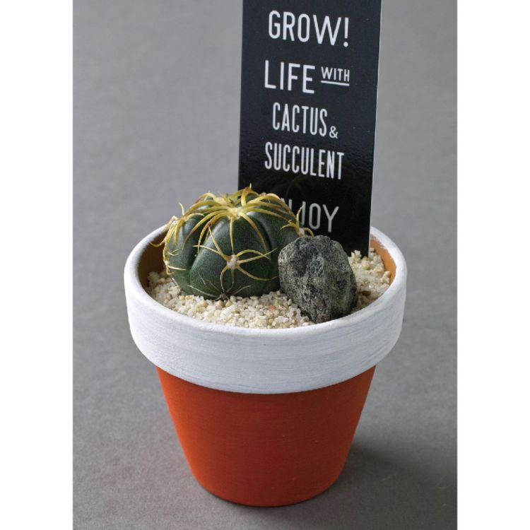 SPICE ���ѥ��� SPICE OF LIFE �ǾƤ� �ڥ���� ���ܥƥ󿢤����� 8S47 12�� | �����ǥ� ��ʪ ���ܥƥ� ¿�� ������ �ǾƤ��ݥå� ���ե�