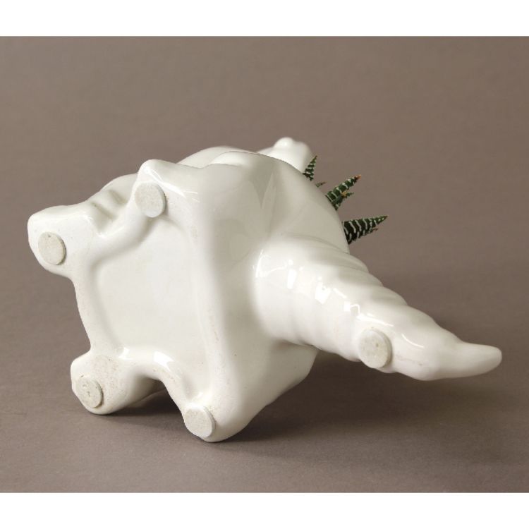 SPICE ���ѥ��� SPICE OF LIFE �����ʥ��� ���ܥƥ󿢤����� 8S59 6�� | �����ǥ� ��ʪ ���ܥƥ� ¿�� �ȥꥱ��ȥץ� �֥饭�������륹 �磻��� �ˤλ� �� �ץ쥼���