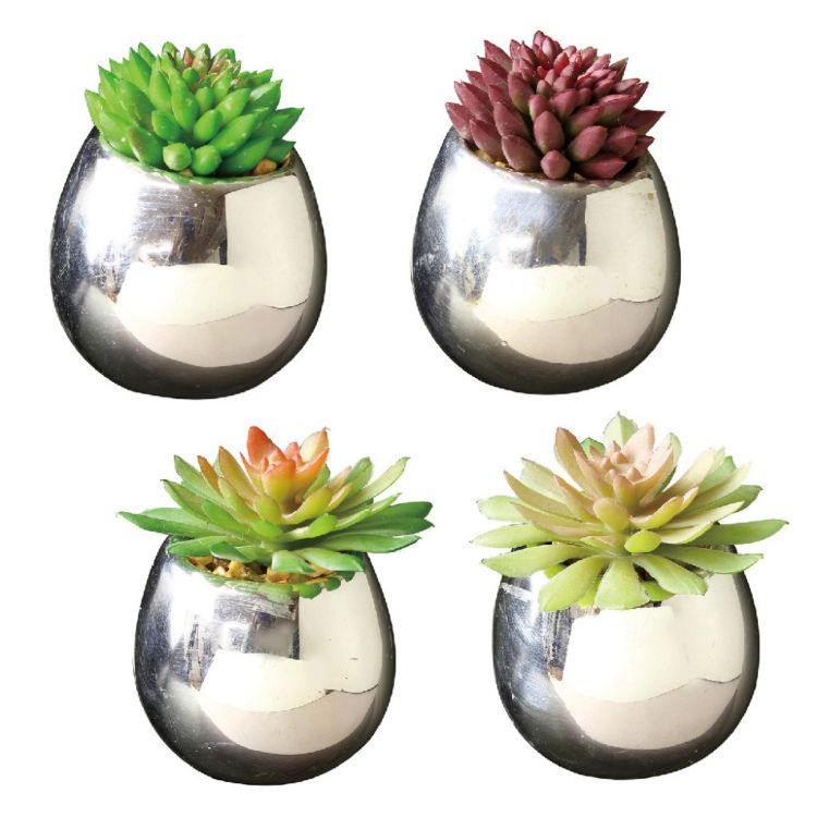 SPICE スパイス SPICE OF LIFE フェイクグリーン 多肉ミニマグネット4種アソート シルバー TADY9358SV ..