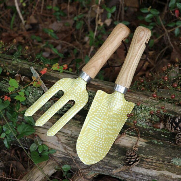 SPICE ���ѥ��� SPICE OF LIFE �����ǥ󥹥��å�&�ե��������å� �饤 �������� CYGF2119LYE | �����å� ����٥� �ե����� ������� �����ǥ˥����� �����ǥ˥󥰥ġ��� �ڤۤ��� �������ڱ� �����ڱ� �� �����դ� �����ؤ� ������� ���襤�� ���ե� �ץ쥼���