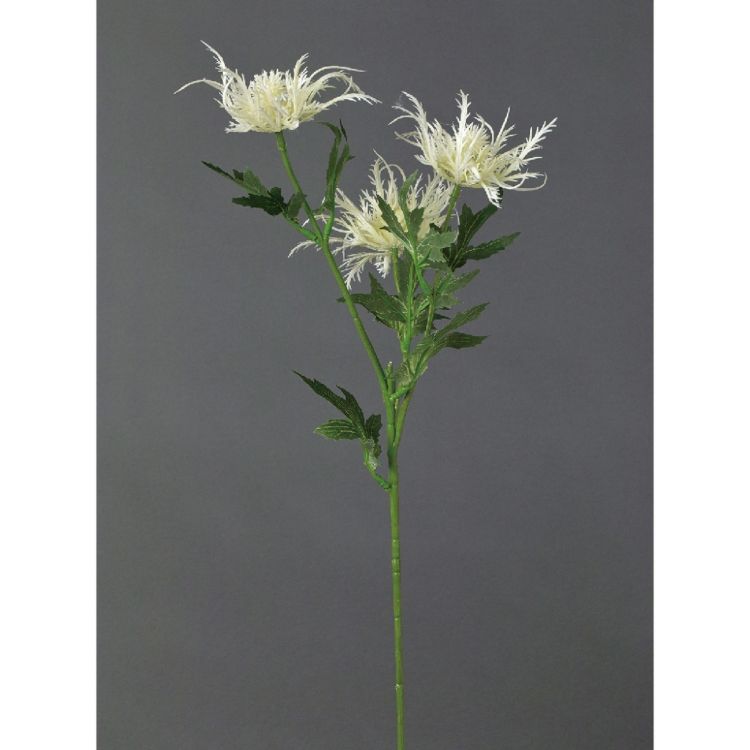 SPICE ���ѥ��� SPICE OF LIFE �ե��������꡼�� ����󥸥塼�� �ۥ磻�� KLGK2910WH | �����ǥ� ��ʪ �ե��������꡼�� �ե��ߥ˥� �͵� �ե��������꡼�� �᥿��å����顼