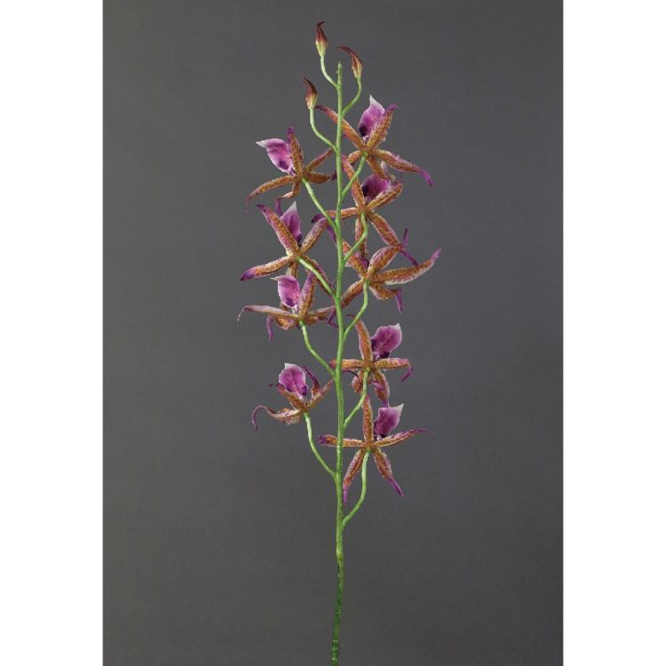 SPICE ���ѥ��� SPICE OF LIFE �ե��������꡼�� ���ѥ������������å� �������ԥ� KLGK2920PK | �����ǥ� ��ʪ �ե��������꡼�� �ե��������꡼�� ���ѥ������������å� �ܥ�塼�ശ