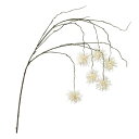 SPICE スパイス SPICE OF LIFE フェイクグリーン アスター ホワイト KLGK2940WH | ガーデン 植物 フェイクグリーン