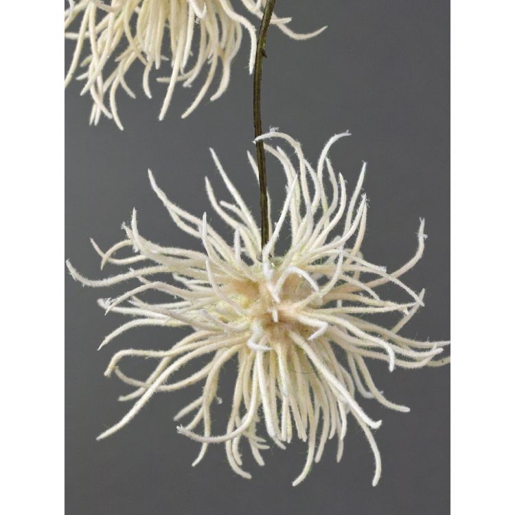 SPICE ���ѥ��� SPICE OF LIFE �ե��������꡼�� �������� �ۥ磻�� KLGK2940WH | �����ǥ� ��ʪ �ե��������꡼��