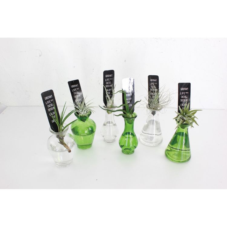 SPICEOFLIFE（スパイスオブライフ）『タイニーガラスフラワーベース』