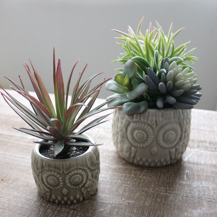 SPICE ���ѥ��� SPICE OF LIFE �ե��������꡼�󥪥���ݥå� �֥롼 L������ TADY7273BL | �����ǥ� ��ʪ �ե��������꡼�� �ե������ݥå� ���֤� ���ߥơ������ �����ץ��� ���ե� ��������