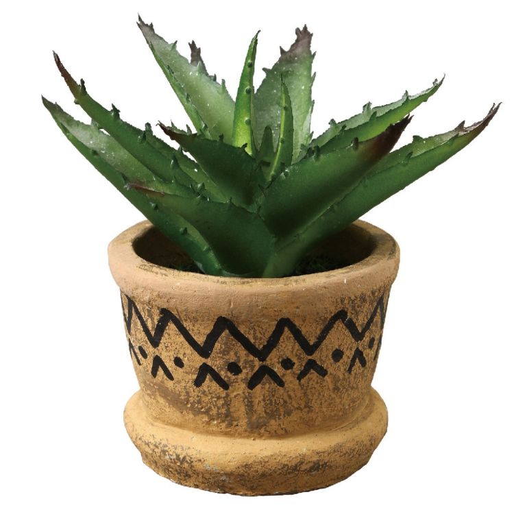 SPICE スパイス SPICE OF LIFE フェイクグリーン ウェーブラインポット アガペ TADY9260 | ガーデン 植物 フェイクグリーン キュート ポット 多肉植物 アガぺ 置き物 小ぶり テラコッタ風 エスニック調 デザイン 室内 インテリア おすすめ