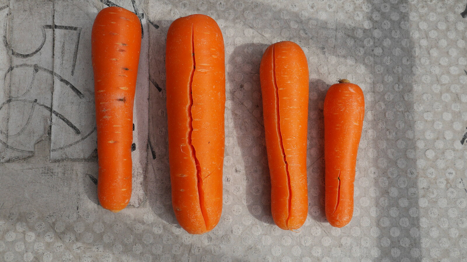 �񻺡��ù��ѡ�������ͻ�B����20kg���Ԥ������ޤ������λ��Ϥޤ�ޤ���