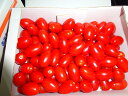 豊橋産フルーツミニトマト　あまえぎみ　クレア（赤）1kg母の