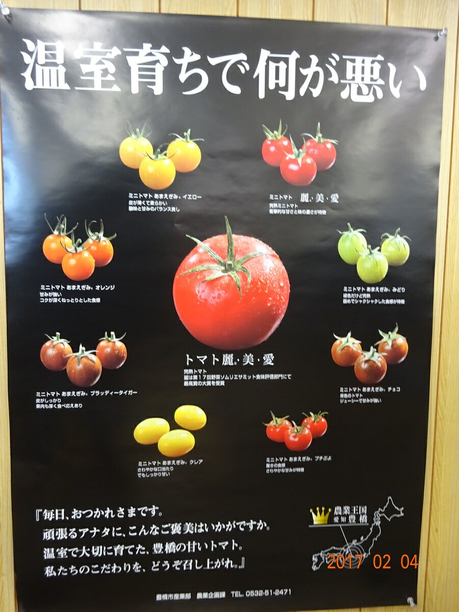 豊橋産　ミニトマト　約1kg