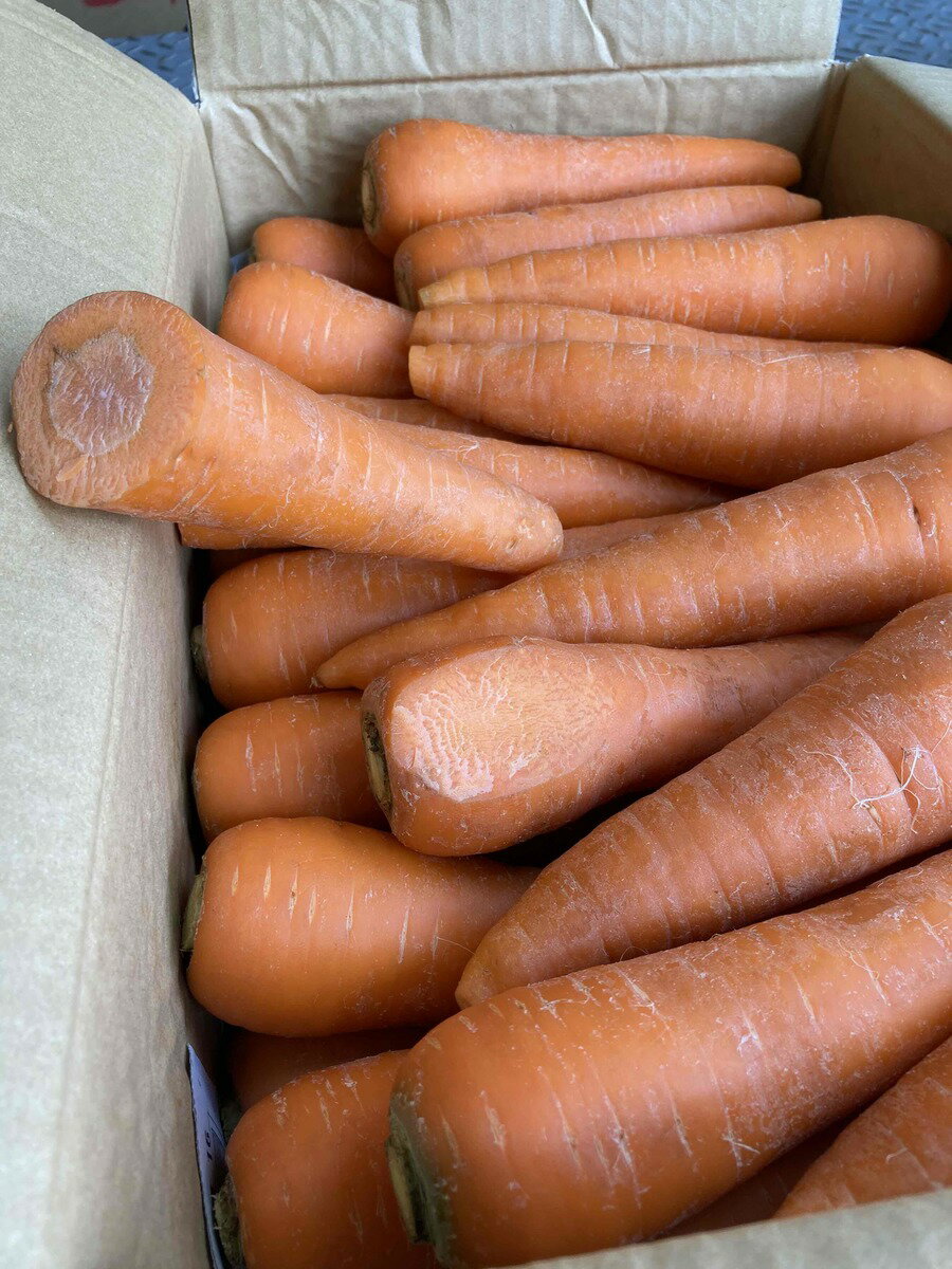 �񻺡��ù��ѡ������ꡡ���������åȿͻ�B����10kg�����ָ��������桪���Ϥͤ����Ǥ������ޤˤ����Фޤ�������ʡ����̶Ͼ���