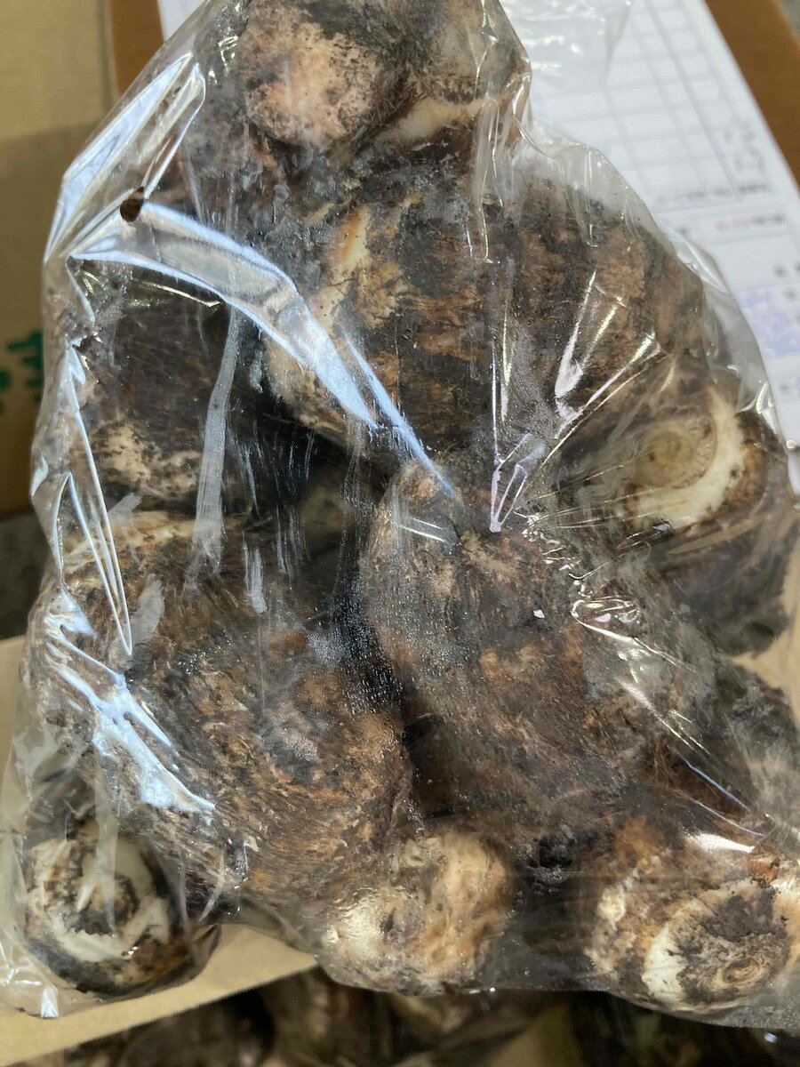 愛知産 奥三河 ねばり里芋(品種 八名丸) 1kg
