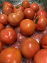 愛知産　訳ありトマト約3kgりX1ケース奥三河の夏秋トマトに変わりました。　送料無料地域（中部、関西、北陸、関東、信越）