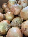 淡路産 玉ねぎ(大きさお任せ) 約10kg