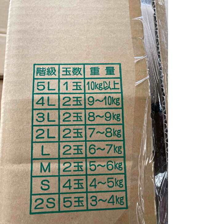 訳あり豊橋 天伯・たかしのスイカ5L（9kg~10kg）1玉クール便にてお届けしますので...