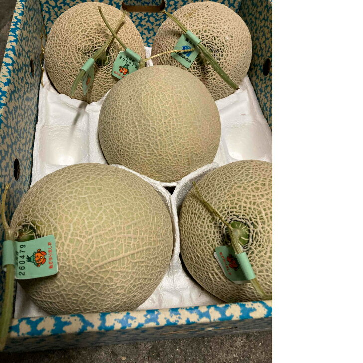 愛知県産 伊良湖・渥美・豊橋　マスクメロン2玉入り自家用　食べごろのサムネイル