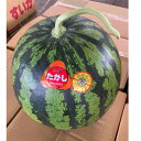 訳あり豊橋 天伯・たかしのスイカ 4L(9kg~10kg)1玉どでかいよ!!父の日、お中元にいかがですか?