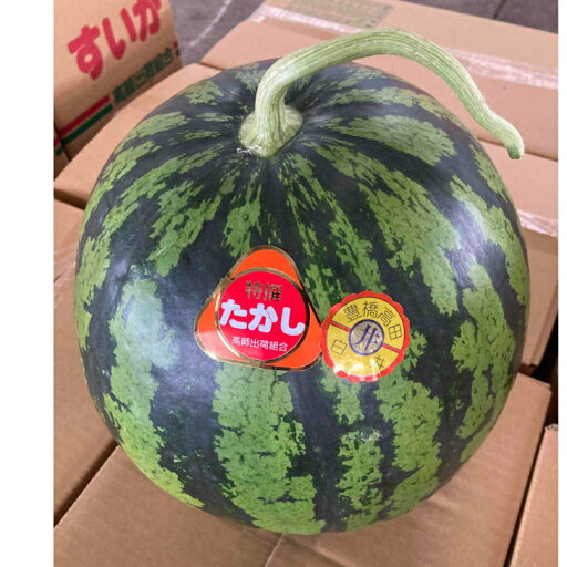 訳あり天伯・ たかしのスイカ 2L~3L(7kg〜9kg)1玉 訳あり天伯・ たかしのスイカ 2L~3L(7kg〜9kg)1玉