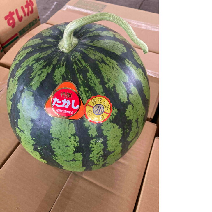 訳あり豊橋　天伯・たかしのスイカ　2L（7kg〜8kg）1玉