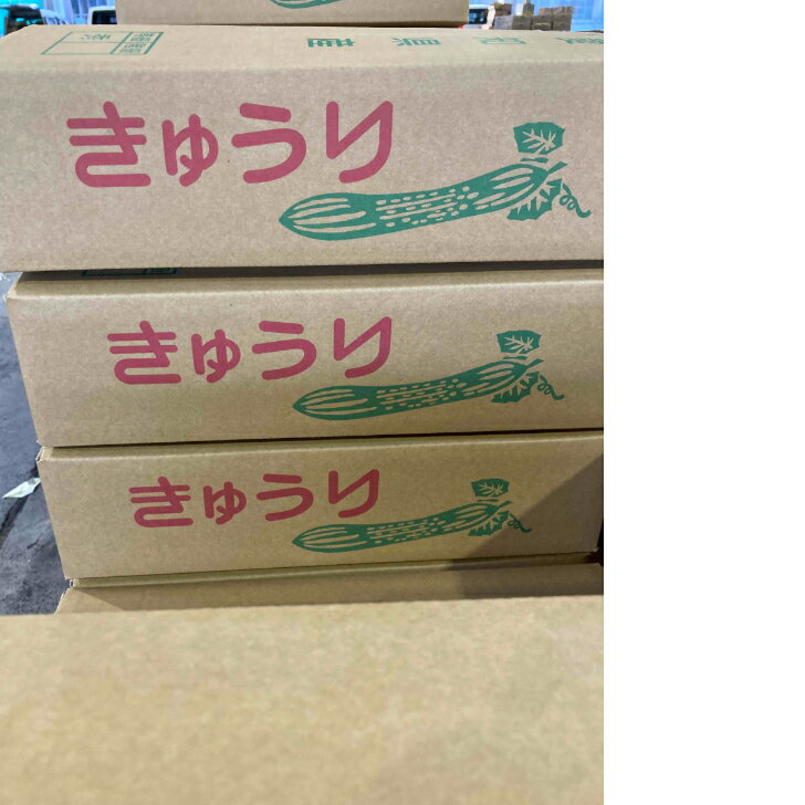 ���⻺�����夦�ꡡ��5kg��������L��M��S