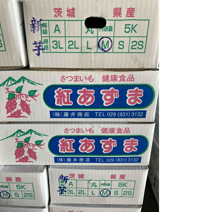 茨城産 甘いさつまいも 紅あずま サツマイモ Mサイズ 5kg さつまいも 紅あずま ほっこり さつま芋のサムネイル