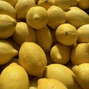 アメリカ・チリ産　レモン約3kg