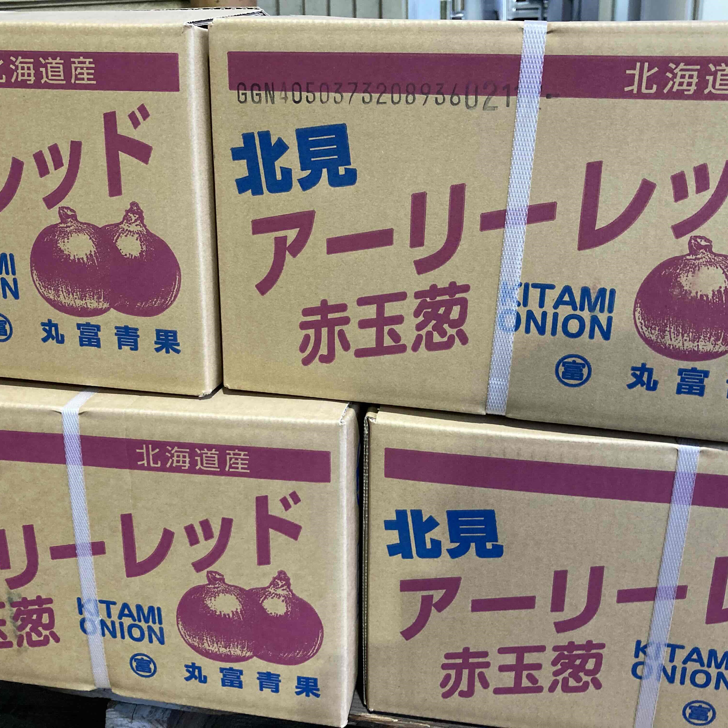 日本産 赤玉ねぎ(アーリーレッド)Mサイズ 約10kg