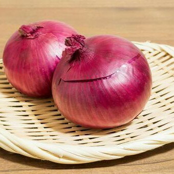 ���ܻ����ֶ̤ͤ��ʥ����꡼��åɡ�M����������10kg