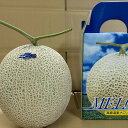 JAひまわり アールスメロン1玉(3Lサイズ・2kg前後)父の日の贈答用最適品熨斗かけ、簡易包装いたします
