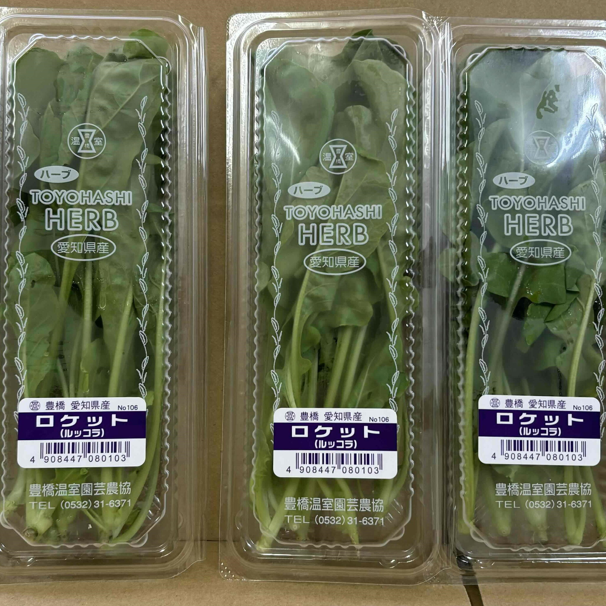 豊橋産 ロケット10gパックx10