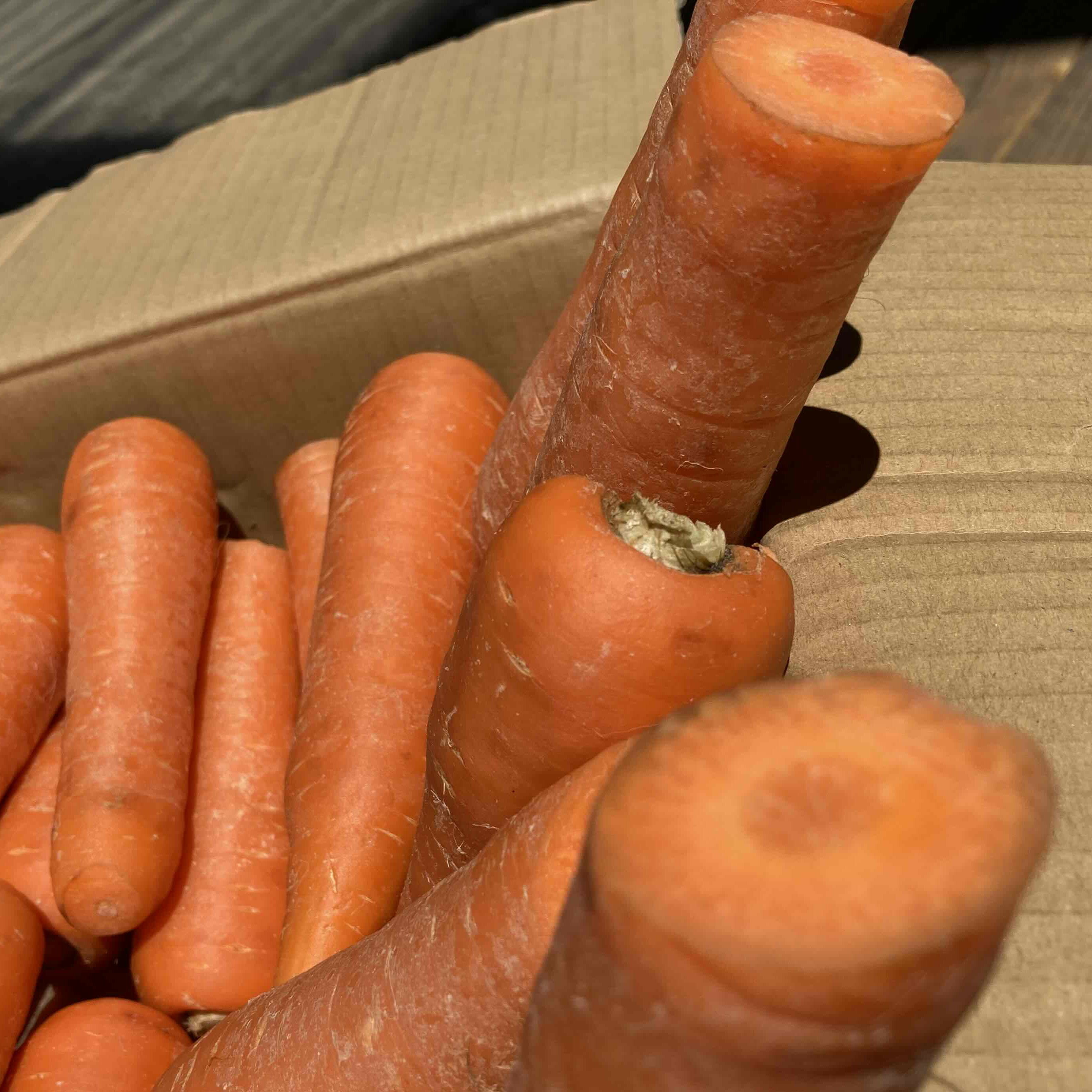 �񻺡��ù��ѿͻ�������10kg����������Ǥ��