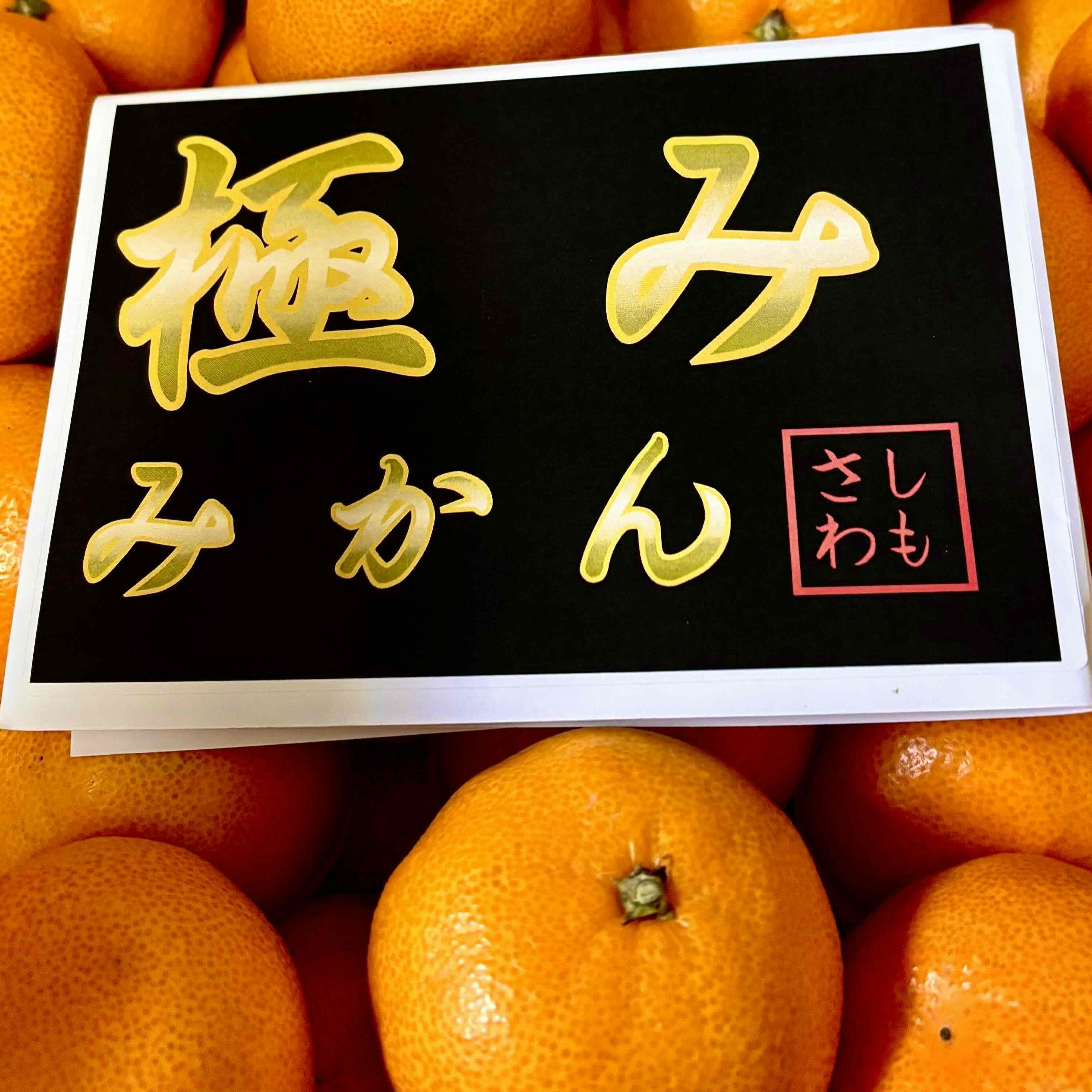 �����ꡡ�ˤߡ��ߤ���ʸĿ����ȡˡ�M����������4kg������ڥ���ꥨ������5������ߤ������긢Ƽ�޼��ޡ�������������̾�С�������˭�������������б��������ޤ���