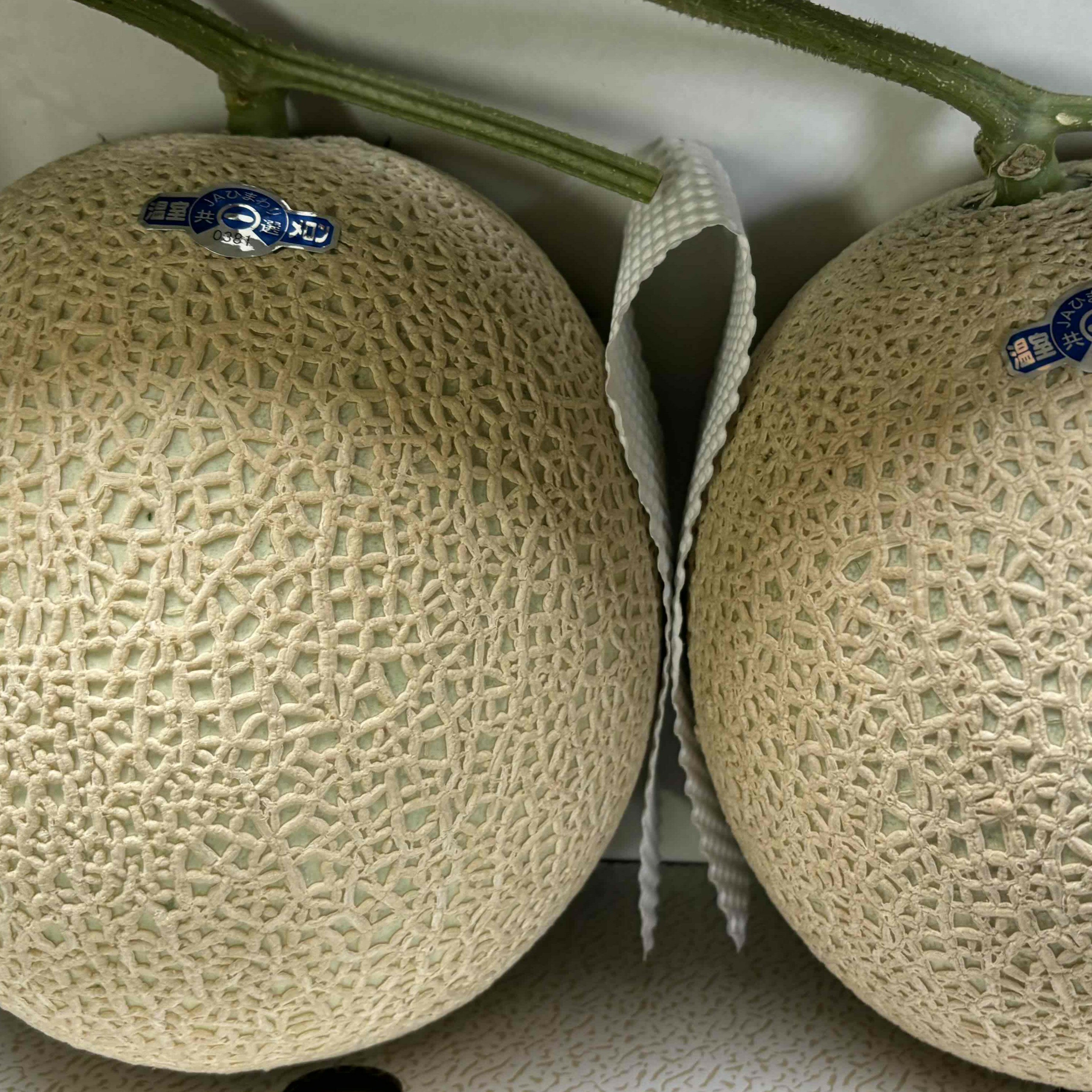商品画像2