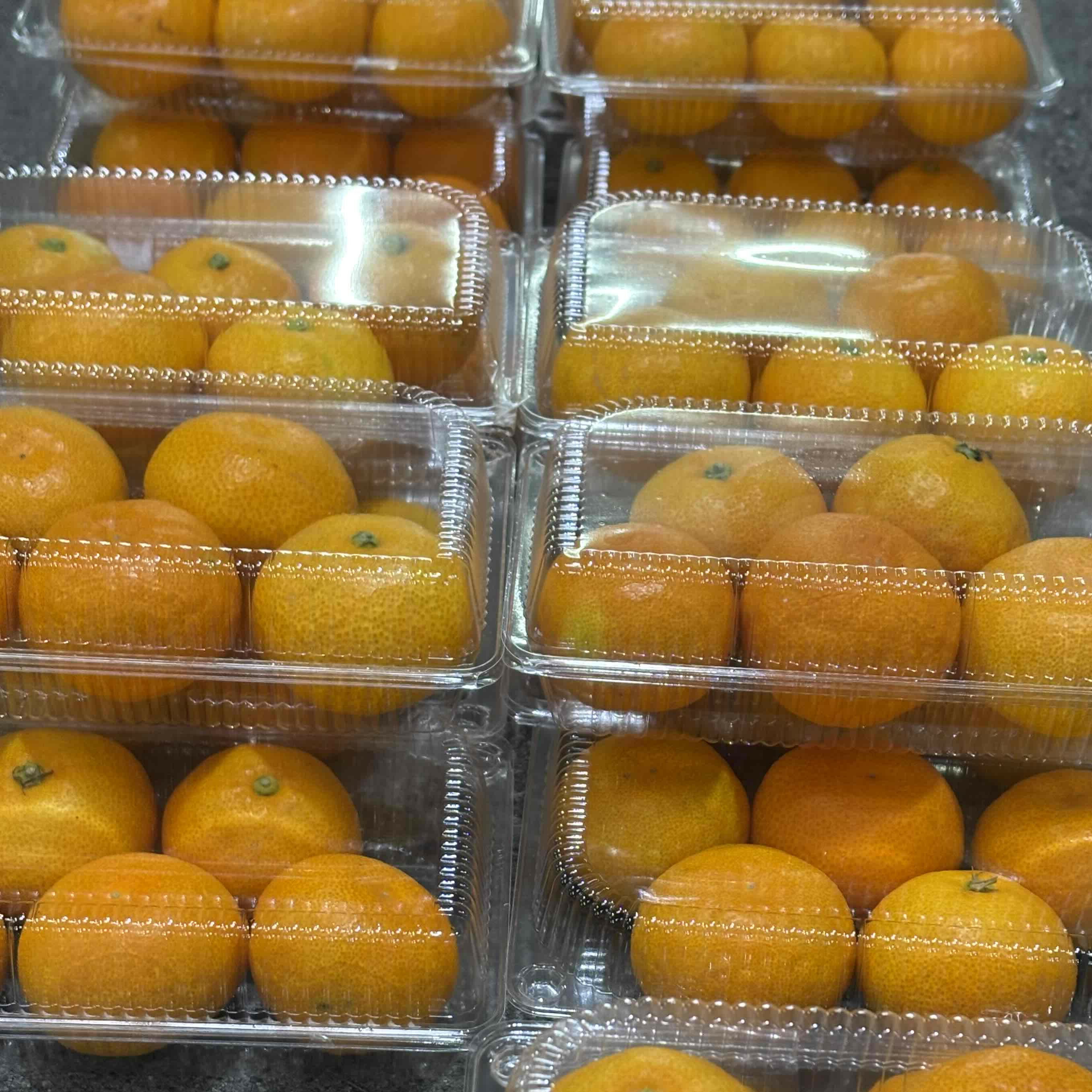 Rakuten - みかん（ハウス）中・小玉　蒲郡産（個人農家）1kg箱入り