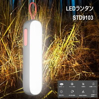 LED󥿥STD9013֥åۥ磻ȥǥ