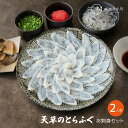 ふぐ刺身セット 約2人前 ギフト ふぐ フグ ふぐ刺し お取り寄せ 敬老 敬老の日 天草 とらふぐ ふぐ鍋 ふぐちり ふぐ皮 ひれ酒 鰭 刺身 冷蔵 送料無料