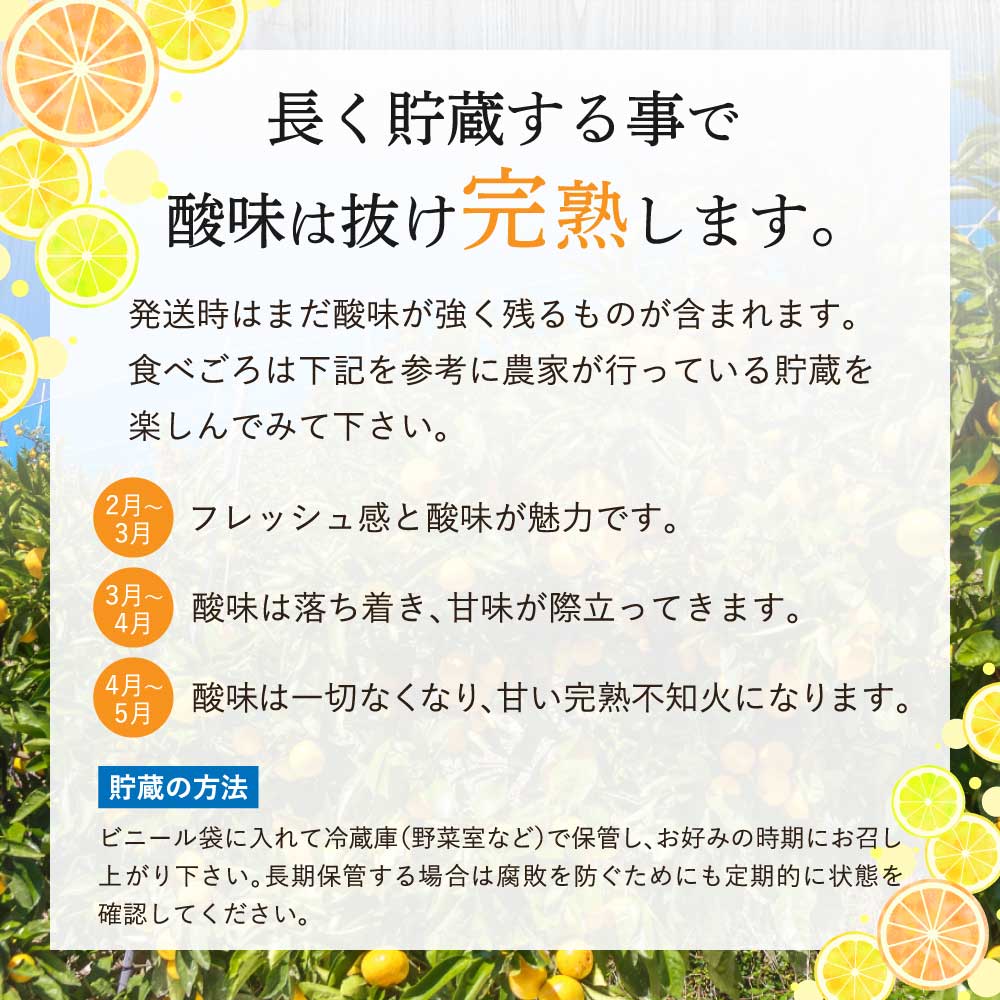 SIMPLE SHOPの先行予約 【2027年2月上旬から2027年2月下旬発送予定】熊本 大見柑 不知火 訳あり【選べる内容量】約2kg (6〜13玉) 約4.5kg (13〜24玉) 約9.5kg (25〜50玉) 約19kg (50〜96玉) しらぬい デコポン みかん 柑橘 フルーツ 果物 果実 国産 九州 熊本県 宇城市 株式会社la Nui.｜アングル3