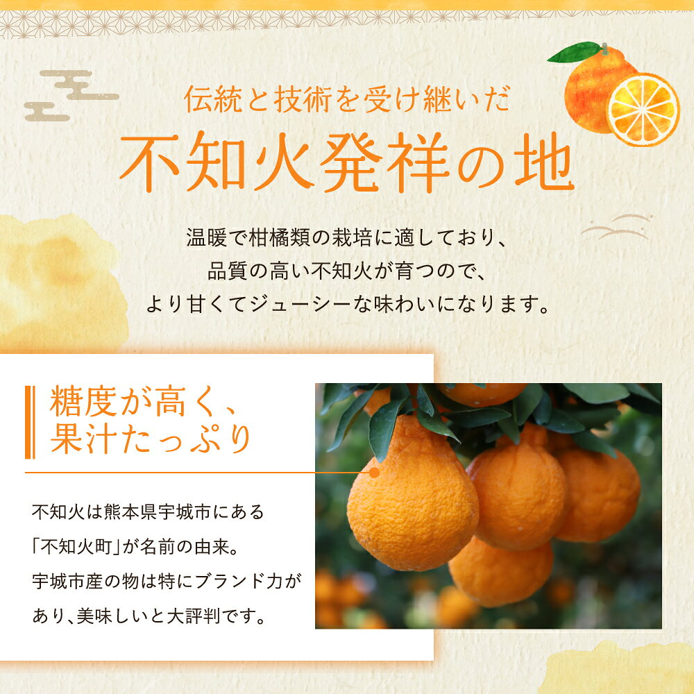 SIMPLE SHOPの先行予約 不知火 ハウス栽培 プラズマ完熟不知火【選べる内容量】約3kg（7〜12玉）もしくは 約5kg（15〜22玉） 【2027年3月上旬から2027年4月中旬発送予定】 しらぬい みかん 蜜柑 柑橘 国産 九州 熊本県 宇城市 株式会社la Nui.｜アングル3