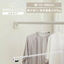 【LINE登録で200円オフクーポン!】 突っ張り棒 極太 強力 物干し 突っ張り 収納 洗濯物干し ハンガーラック ポールハンガー クローゼット 衣類収納 170~280cm 取付簡単 工具不要 極太強力伸縮棒 ホワイト アイリスオーヤマ H-GBJ-280R