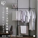 【LINE登録で500円OFF】 室内物干し 突っ張り式 ハンガーラック スリム タオルハンガー 省スペース つっぱり物干し 2本タイプ TPM-2 アイリスオ...