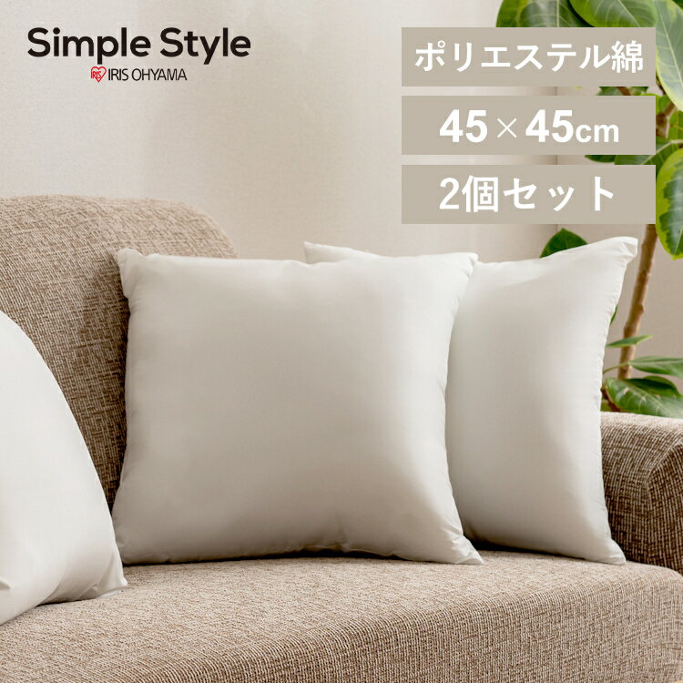 【LINEお友だち登録で最大1,500円OFFクーポン】クッション 中身 ホコリが出にくい ヌードクッション ×2..