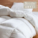 【LINE登録で500円OFF】 羽毛布団 シングル 軽い 冬送料無料 布団 シングル 掛布団 掛け布団 WDD90% ダウンパワー370dp以上 吸湿発熱 抗...
