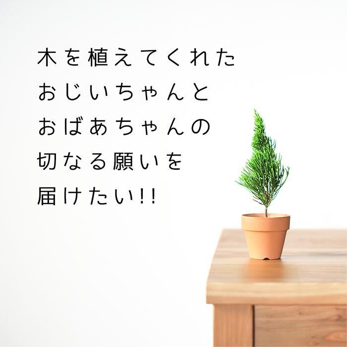 国産なのに安い! レスキューテーブル 4人掛け 120×72 国産杉 無垢材 天然木 ダイニングテーブル ウレタン塗装 [2]