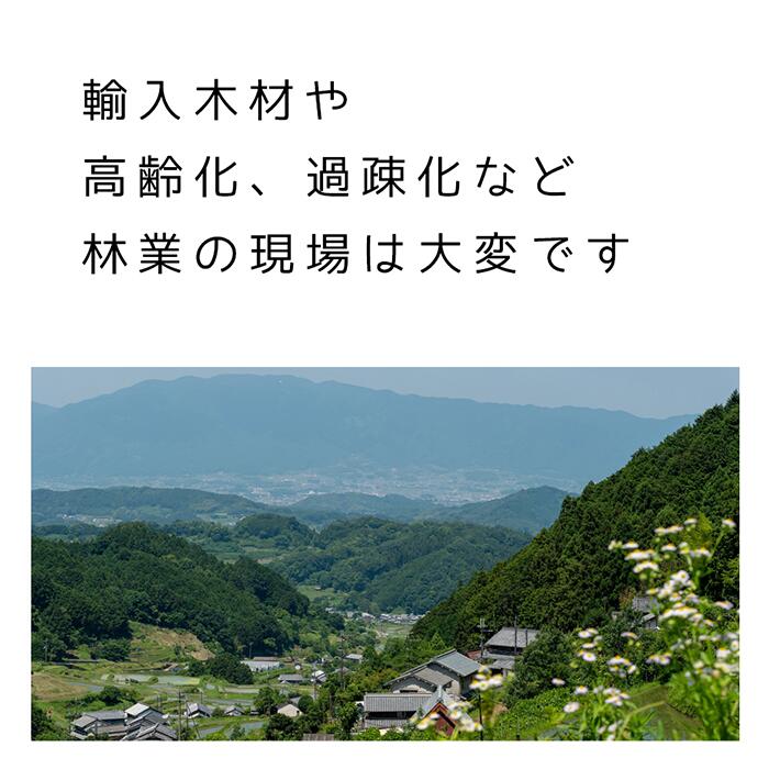 国産なのに安い! レスキューテーブル 4人掛け 120×72 国産杉 無垢材 天然木 ダイニングテーブル ウレタン塗装 [3]