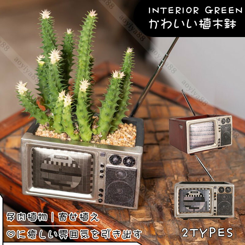 植木鉢テレビ模型おしゃれ多肉植物寄...
