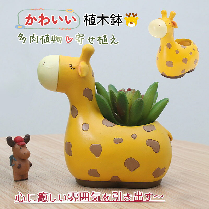 楽天市場】キリン（植木鉢・プランター｜ガーデニング・農業）：花