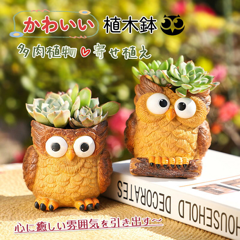 樂天商城 - 鉢 植木鉢 コノハズク かわいい 多肉植物 寄せ植え フラワーポット ガーデンポット サボテン プランター 箱庭 ガーデン 誕生日 贈り物 カートゥーン 面白い